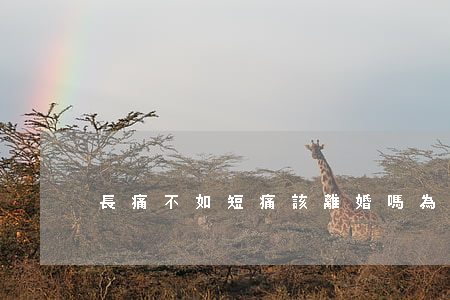 長痛不如短痛該離婚嗎(為什么長痛不如短痛)