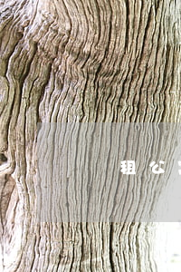 長租公寓法律思考