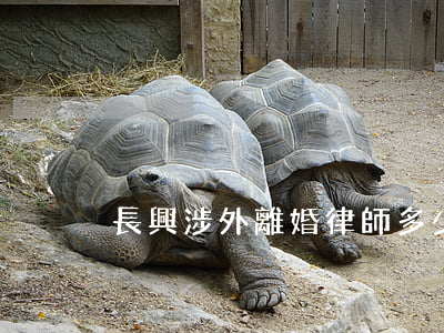 長興涉外離婚律師多少錢(請律師離婚多少錢)