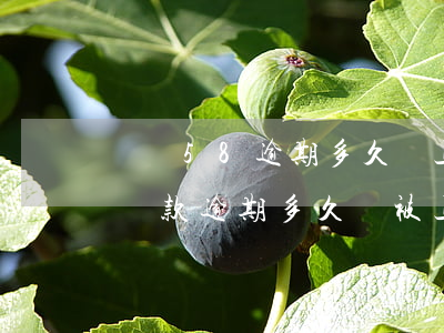 長銀58逾期多久會上報征信，警惕！長銀58貸款逾期多久將被上報至征信系統(tǒng)？