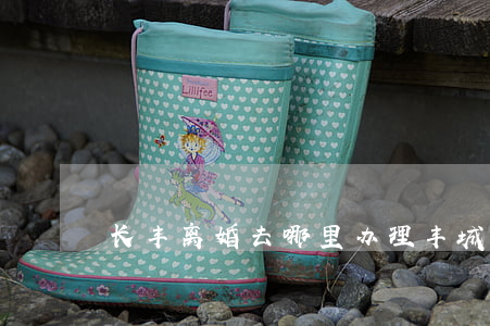 长丰离婚去哪里办理(丰城办理离婚在哪里)