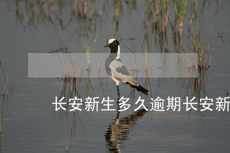 长安新生多久逾期（长安新生多久逾期）