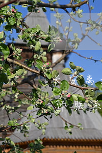 长安离婚纠纷律师联系方式(长安离婚纠纷律师联系方式)