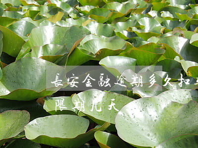 长安金融逾期多久扣车(长安金融车贷逾期宽限期几天)