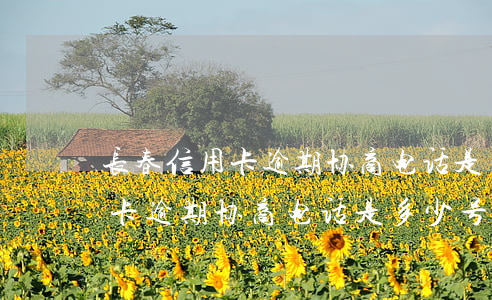 长春信用卡逾期协商电话是多少-长春信用卡逾期协商电话是多少号
