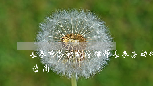 长春市劳动纠纷律师(长春劳动仲裁律师免费咨询)