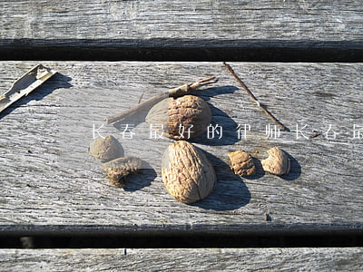 长春最好的律师(长春最好的律师事务所地址)