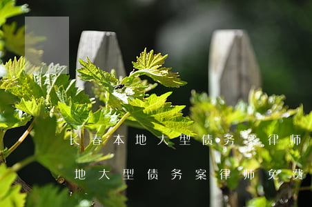 长春本地大型债务案律师免费咨询-长春本地大型债务案律师免费咨询电话