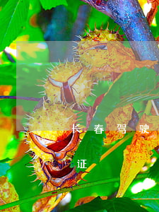 长春驾驶证逾期怎么换证 长春驾驶证期满换证
