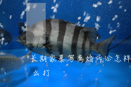 长期家暴写离婚诉讼怎样写(家暴离婚官司怎么打)