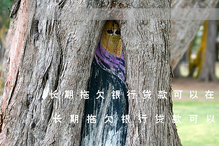 长期拖欠银行贷款可以在其它地方扣款吗-长期拖欠银行贷款可以在其它地方扣款吗