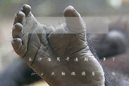 长沙信用卡逾期两年了-二年前信用卡逾期12次能按揭房子吗