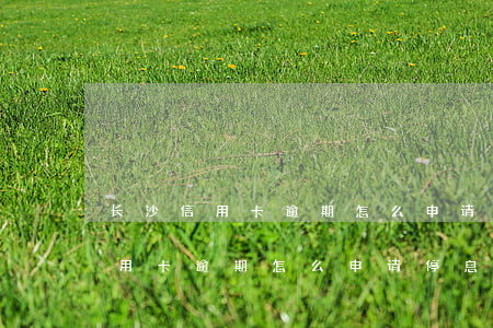 长沙信用卡逾期怎么申请停息挂账-长沙信用卡逾期怎么申请停息挂账的