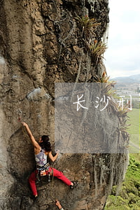 长沙刑案律师怎么聘请(长沙刑事诉讼的律师)