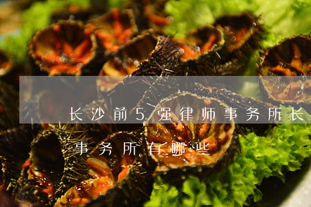 长沙前5强律师事务所(长沙排名靠前的律师事务所有哪些?)