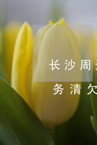 长沙周边债权债务清理律师代理费-长沙债务清欠律师