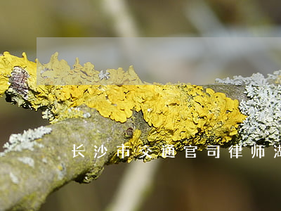 长沙市交通官司律师(湖南长沙何江律师)