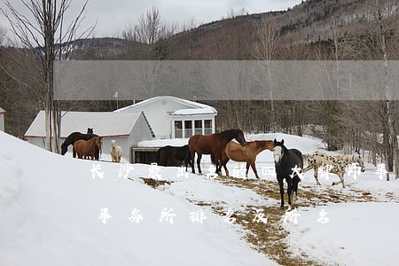 长沙最出名的四大律师事务所(长沙十大律师事务所排名及所名)