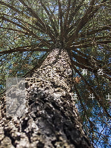 长沙有名的刑事律师法斗士(长沙专业刑事律师法斗士)