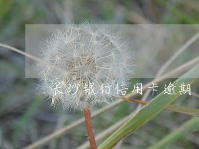 长沙银行信用卡逾期