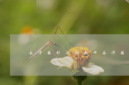 长沙银行逾期起诉 长沙银行最新消息