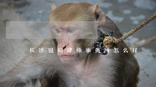 长沙锐和律师事务所怎么样