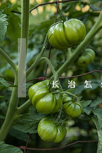 长治怎么办离婚手续
