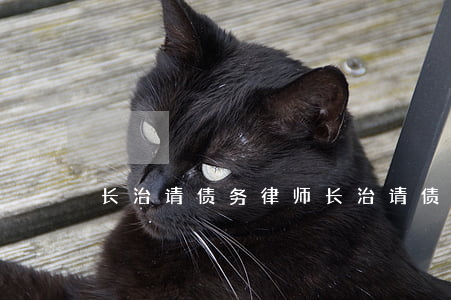 长治请债务律师(长治请债务律师要多少钱)