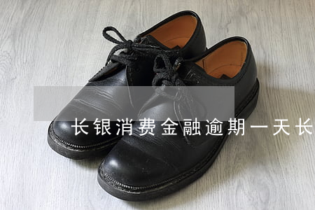 长银消费金融逾期一天（长银逾期一天）