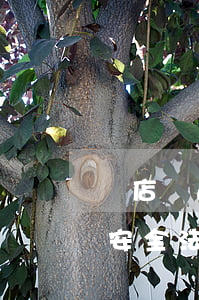 門店藥品法律法規(guī)試卷題(食品安全法律法規(guī)考試試題)