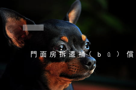 門面房拆遷補(bǔ)償與住宅一樣嗎