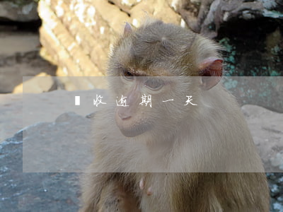 閃收逾期一天