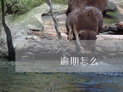 閃貸俠逾期怎么樣(閃貸俠逾期怎么樣)