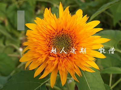 閃貸超人逾期還能借嗎 閃貸超人app下載