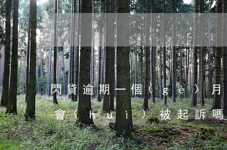 閃貸逾期一個(gè)月怎么辦（閃貸逾期了會(huì)被起訴嗎）