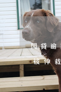 閃貸逾期幾天會被起訴嗎(小閃貸逾期多久會被仲裁)