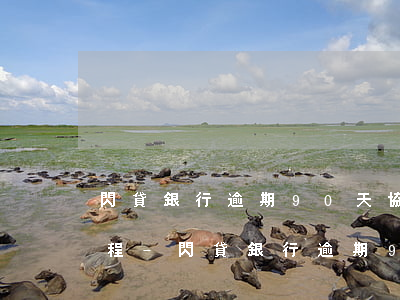 閃貸銀行逾期90天協(xié)商還款流程-閃貸銀行逾期90天協(xié)商還款流程圖