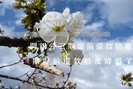 閃銀分三期提前還款額度降低了-閃銀分三期提前還款額度降低了怎么回事