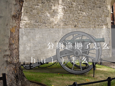 閃銀分期逾期了怎么辦(閃分期逾期不還會(huì)怎么樣)