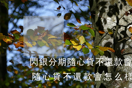 閃銀分期隨心貸不還款會怎么樣-閃銀分期隨心貸不還款會怎么樣嗎