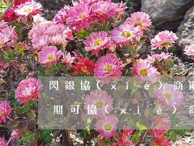 閃銀協(xié)商還款逾期反饋(閃電貸逾期可協(xié)商嗎)