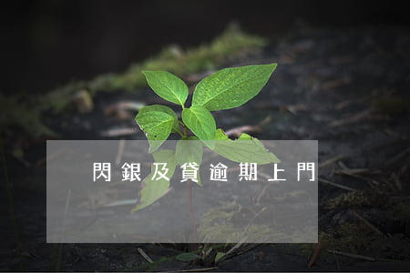 閃銀及貸逾期上門