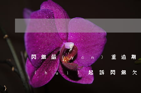 閃銀嚴(yán)重逾期會(huì)不會(huì)起訴(閃銀欠款兩年多會(huì)不會(huì)起訴)