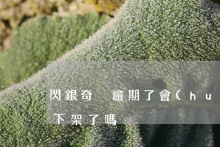 閃銀奇異逾期了會(huì)起訴 閃銀奇異下架了嗎