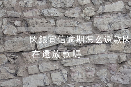 閃銀宜信逾期怎么還款(閃銀現(xiàn)在還放款嗎)