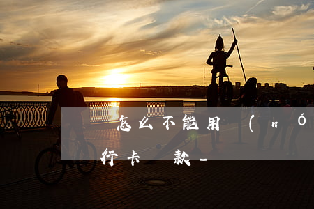 閃銀怎么不能用農(nóng)業(yè)銀行卡還款-