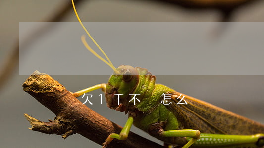 閃銀欠1千不還怎么辦