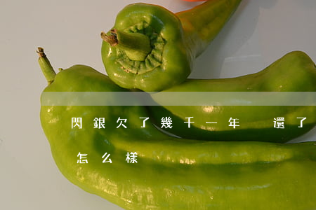 閃銀欠了幾千一年沒還了(欠閃銀的錢不還會怎么樣)
