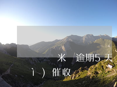 閃銀納米貸逾期5天(閃銀逾期一天會(huì)催收嗎)
