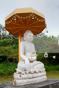 閃銀網(wǎng)貸逾期律師函圖片(網(wǎng)貸逾期有律師函)